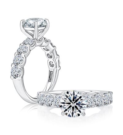 Maharaja Collection Round Center Large Melee Diamond Engagement Ring (4.60ctw) in 14K White Gold