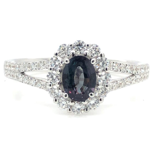 Maharaja Collection Round Alexandrite and Diamond Split Shank Ring in 18K White Gold (0.98ctw)