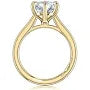 Maharaja Collection Round Semi-Mount Solitaire Engagement Ring in 14K Yellow Gold (3.50ct)