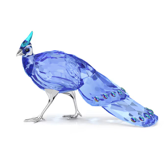 Maharaja Collection Swarovski Idyllia: SCS Palawan Peacock-Pheasant