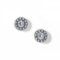 Maharaja Collection Illumina Solitaire Post Earrings