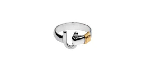 Maharaja Collection 4mm Wrap Titanium I Look Ring in Gold Color